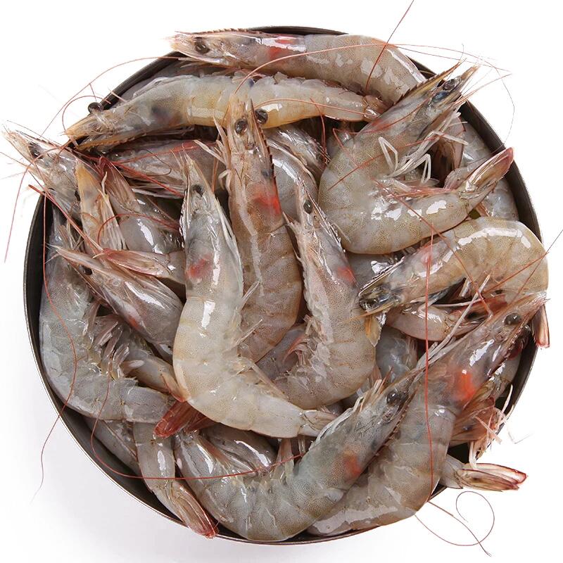 盘锦高质量鱼虾饲料代理批发